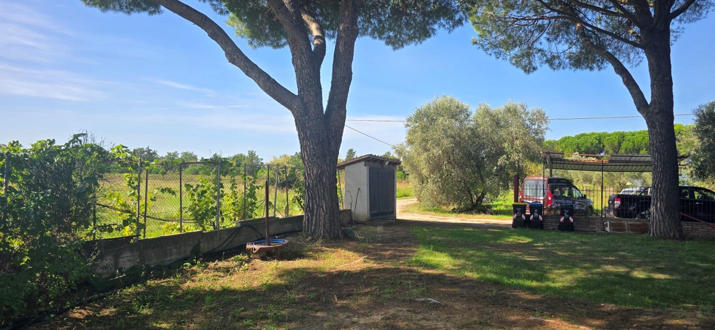 Tuscan Farmhouse — Maremma Countryside Retreat — photo 7