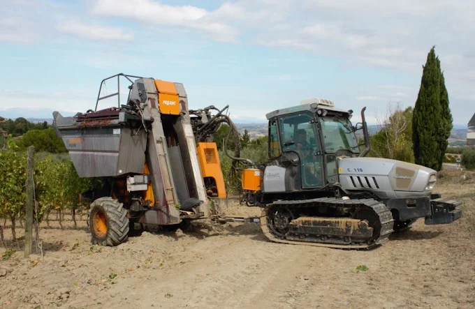 Working Wine & Olive Farm in the Heart of Chianti — photo 11