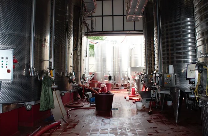 Working Wine & Olive Farm in the Heart of Chianti — photo 9