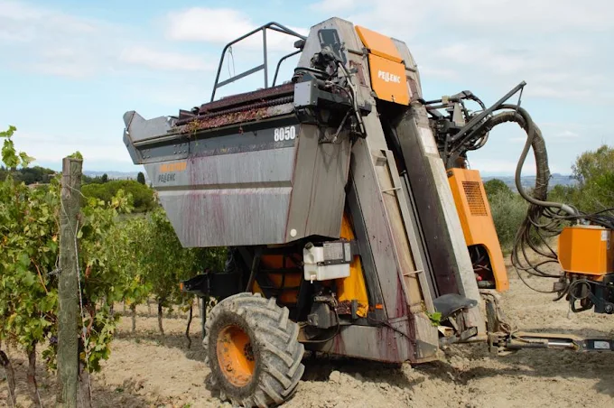 Working Wine & Olive Farm in the Heart of Chianti — photo 12