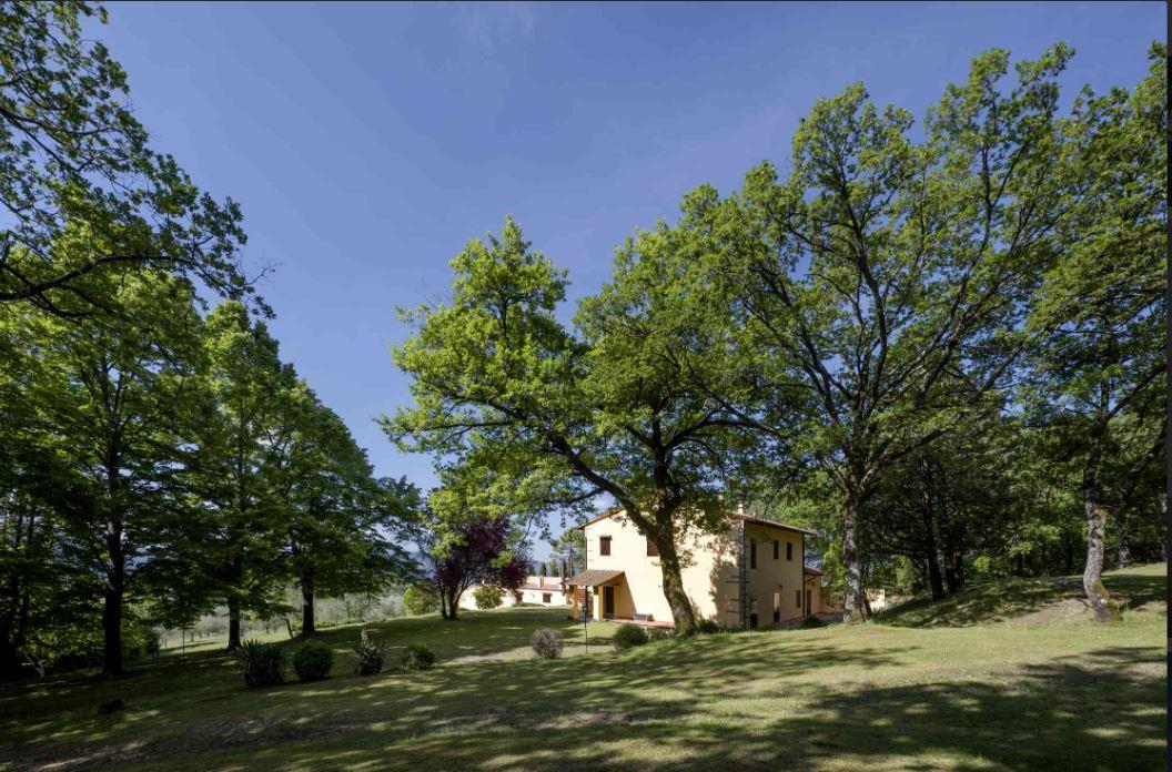 Historic Villa with Guest House and Annex — photo 22