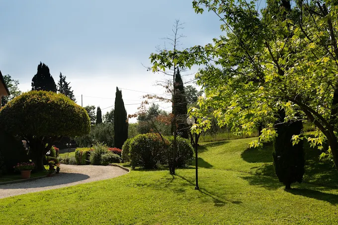 Working Wine & Olive Farm in the Heart of Chianti — photo 14
