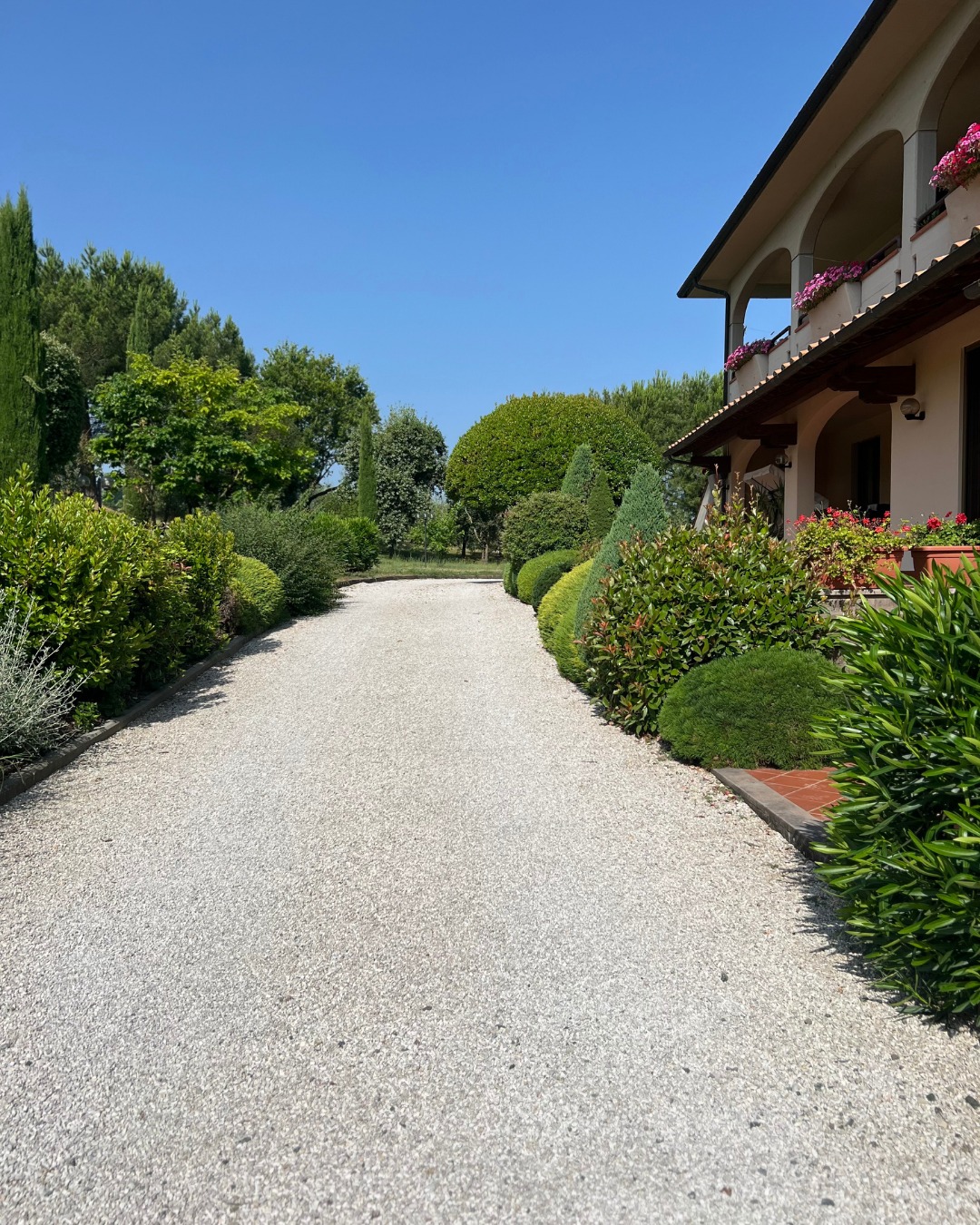 Working Wine & Olive Farm in the Heart of Chianti — photo 13