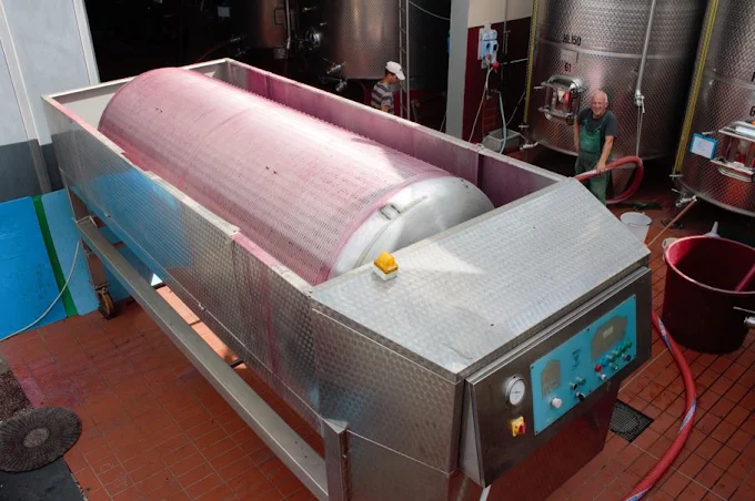 Working Wine & Olive Farm in the Heart of Chianti — photo 10