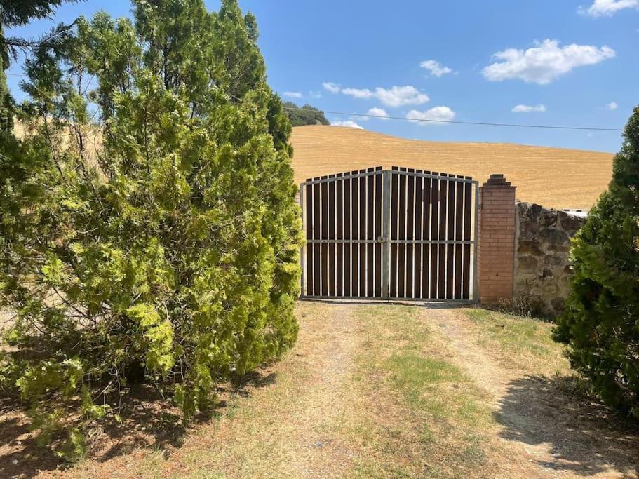 Tuscan Dream — Panoramic Villa with Private Pool — photo 10