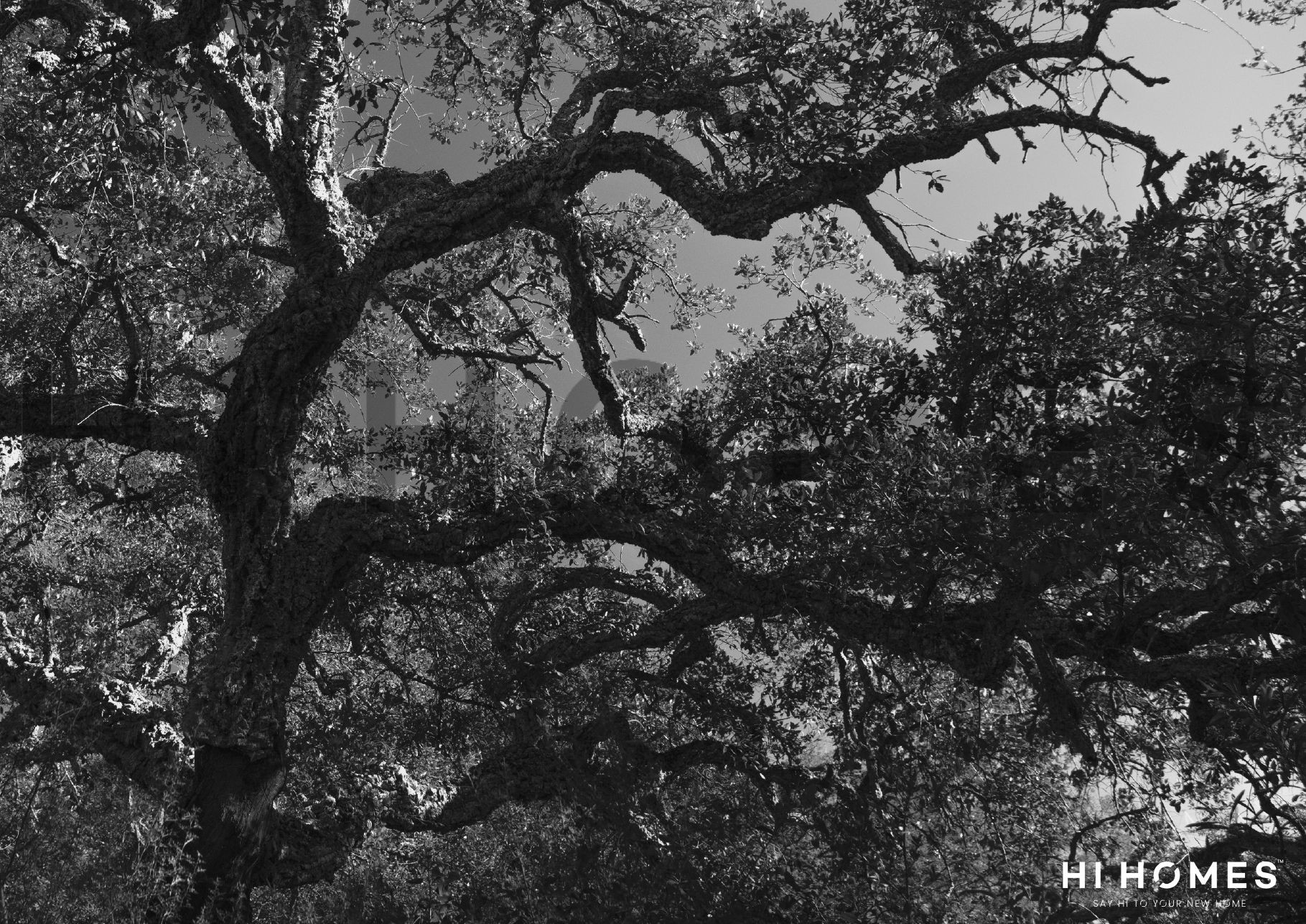 Villa Oak — Cork Oak Mansion, Altos de Valderrama, Sotogrande — photo 24