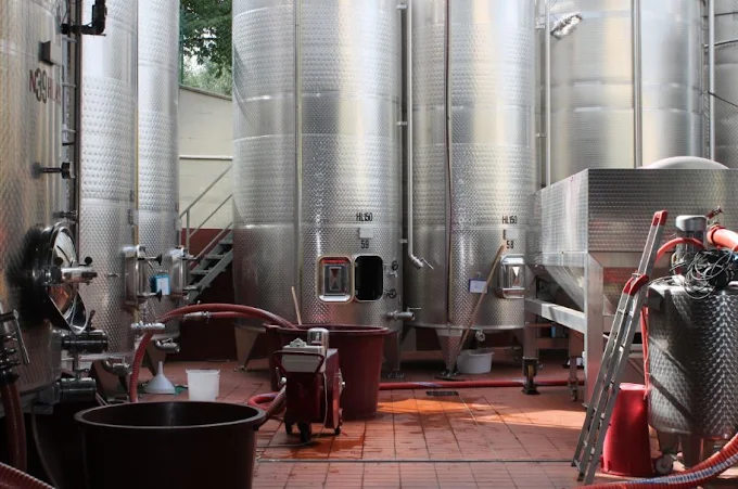 Working Wine & Olive Farm in the Heart of Chianti — photo 8