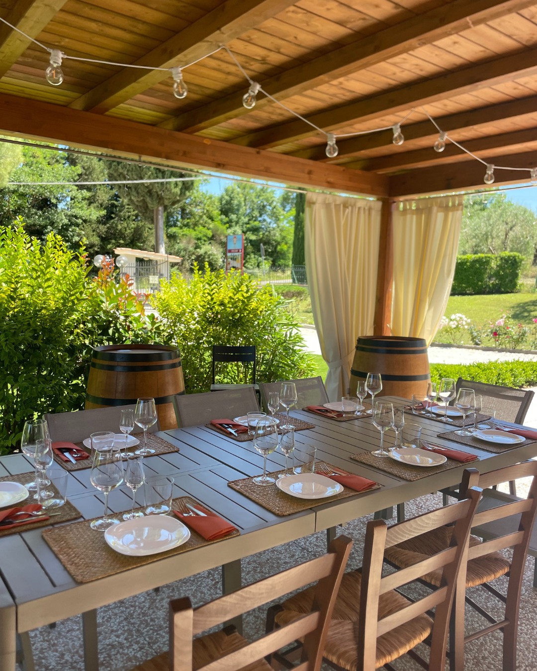 Working Wine & Olive Farm in the Heart of Chianti — photo 16